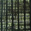 Window 6 2004
